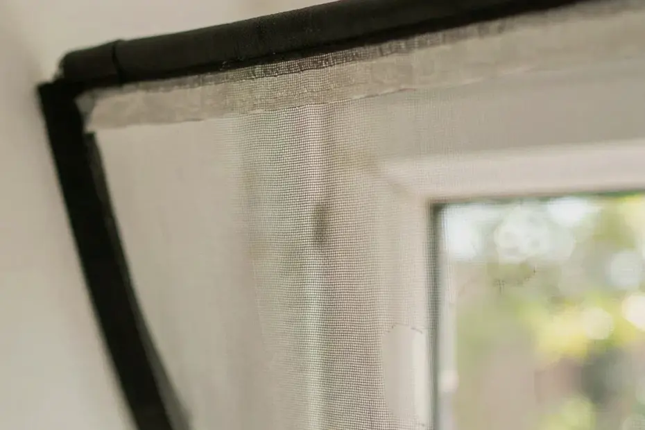 Common Window Screen Mistake – Try an Opening Mosquito Screen Instead